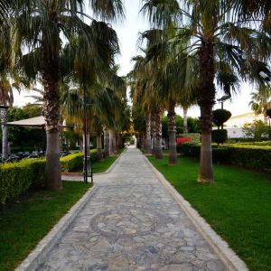 Hotel Royal Garden Beach