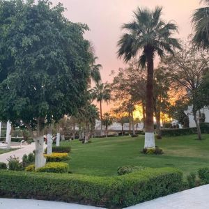 Monte Carlo Sharm Resort and Spa