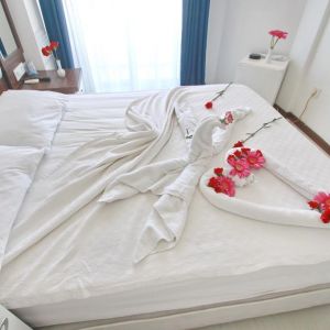 Hotel Asena