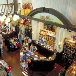 Hotel Cheynne