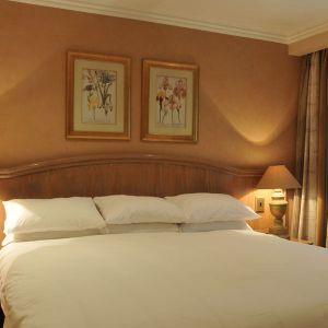 Protea Hotel Balalaika Sandton