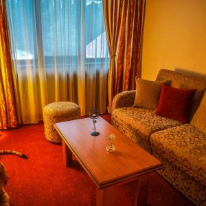 Hotel Breza