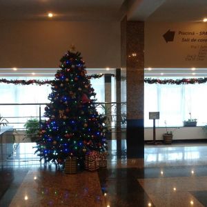Hotel Piatra Mare