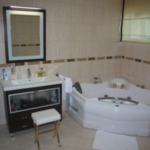 Hotel Romanov
