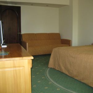 Hotel Casa Viorel