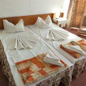Hotel Banat