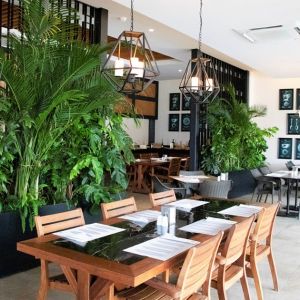 Hotel TUI Sensatori Resort Barut Sorgun Side