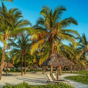 Hotel Baraza Resort and Spa