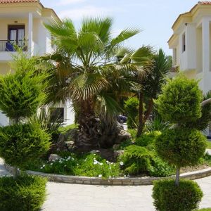 Acrotel Lily Ann Village