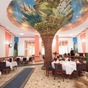 Hotel Bradul