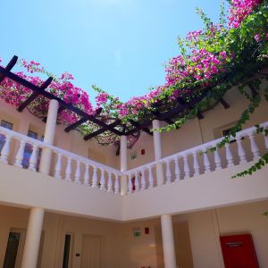 Hotel Elotis Suites Agia Marina