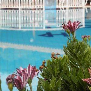 Hotel Petros