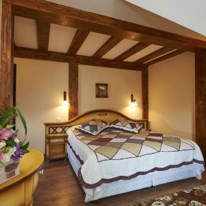 Hotel Conacul Ambient