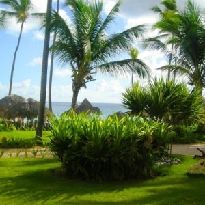 Hotel VIK Arena Blanca