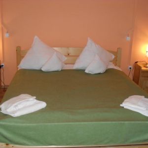 Hotel Pensiunea Gentiana