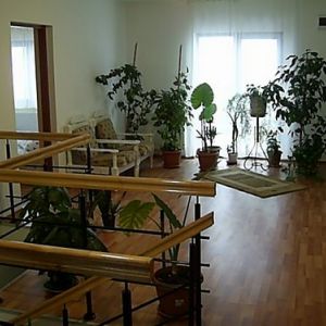 Pensiunea Firiza