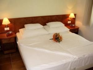 Hotel Labineca