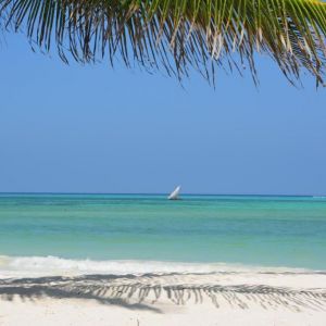 Hotel Neptune Pwani Beach Resort and Spa