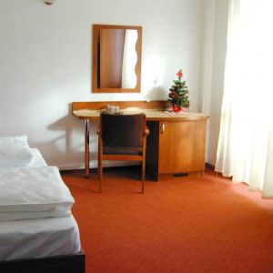 Hotel Diana Sambata de Sus