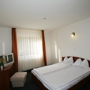 Hotel Paltinis Borsa