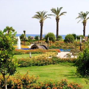 Hotel Miracle Resort