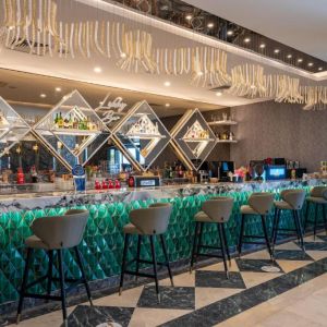 ARIA RESORT and SPA HOTEL
