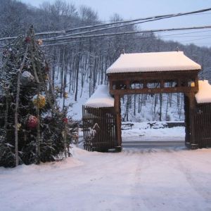 Complex Lostrita