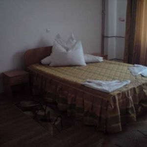 Hotel Alex Horezu