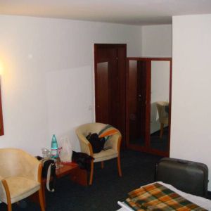 Hotel Paltinis Borsa