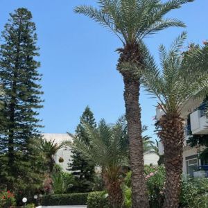 Gorgona Hotel