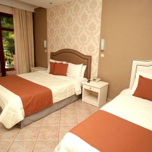 Hotel Alia Palace