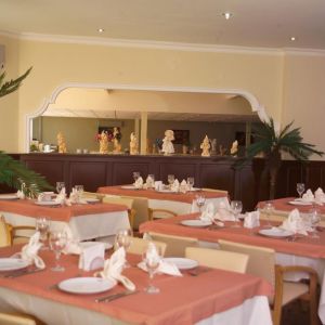 Hotel Krizantem