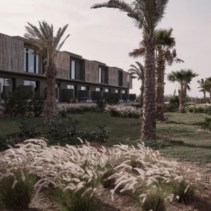 Casa Cook El Gouna Adults Only