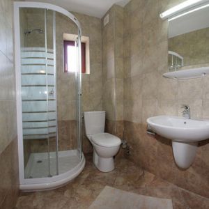 Hotel Paltinis Borsa