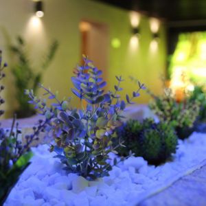 Hotel Relax Sovata