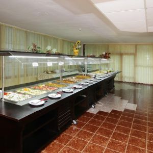 Hotel Vladislav Party
