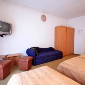 Hotel Central Olanesti