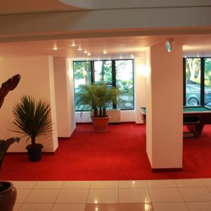 Complex Steaua de Mare Hotel Delfinul, Meduza