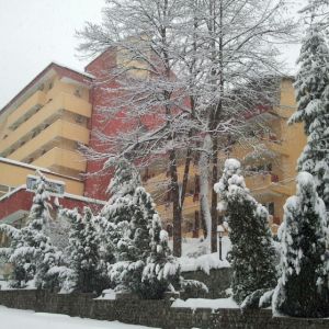 Hotel Livadia