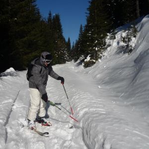Pensiunea Norica
