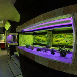 Hotel Relax Sovata