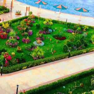 Hawaii Paradise Aqua Park Resort Families and Couples Only