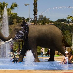 Hotel Holiday World Resort (sau similar 4*)