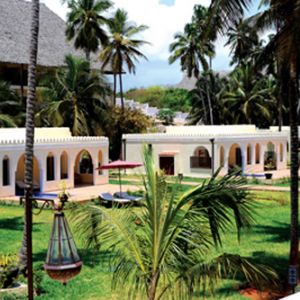 Diamonds Dream Of Zanzibar