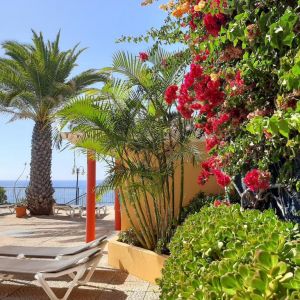 Hotel Cais da Oliveira