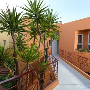Elotia Hotel