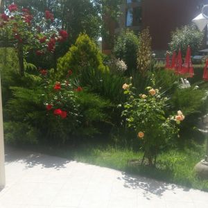 Hotel Deva