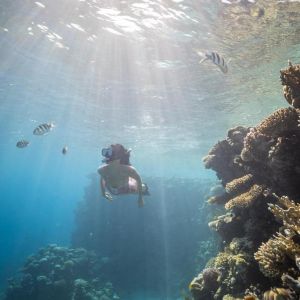 Four Seasons Resort Sharm El Sheikh
