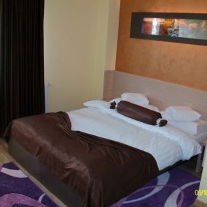 Hotel Central Olanesti