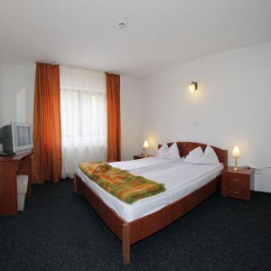 Hotel Paltinis Borsa
